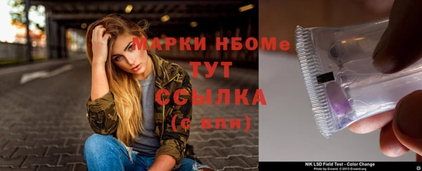 твердый Снежногорск