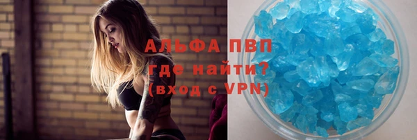 шишки Беломорск