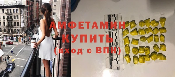 шишки Беломорск