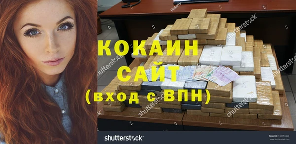 шишки Беломорск