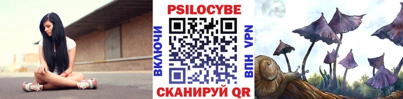Галлюциногенные грибы Magic Shrooms  Видное 
